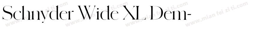 Schnyder Wide XL Dem字体转换